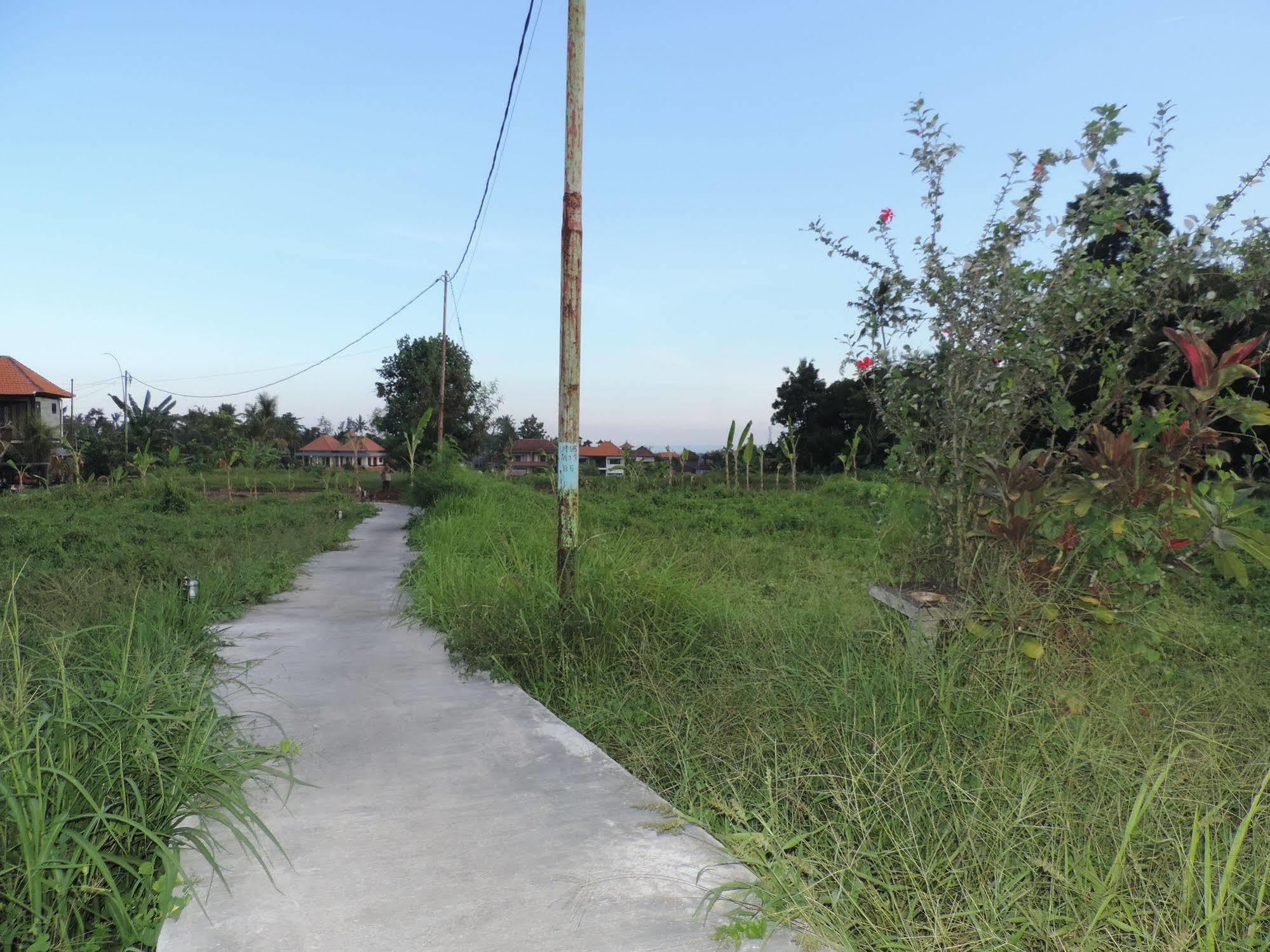 Duana'S Homestay Ubud  Exterior photo